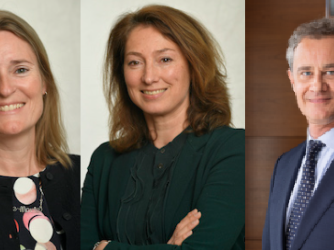 Finfluencers, vloek of zegen?